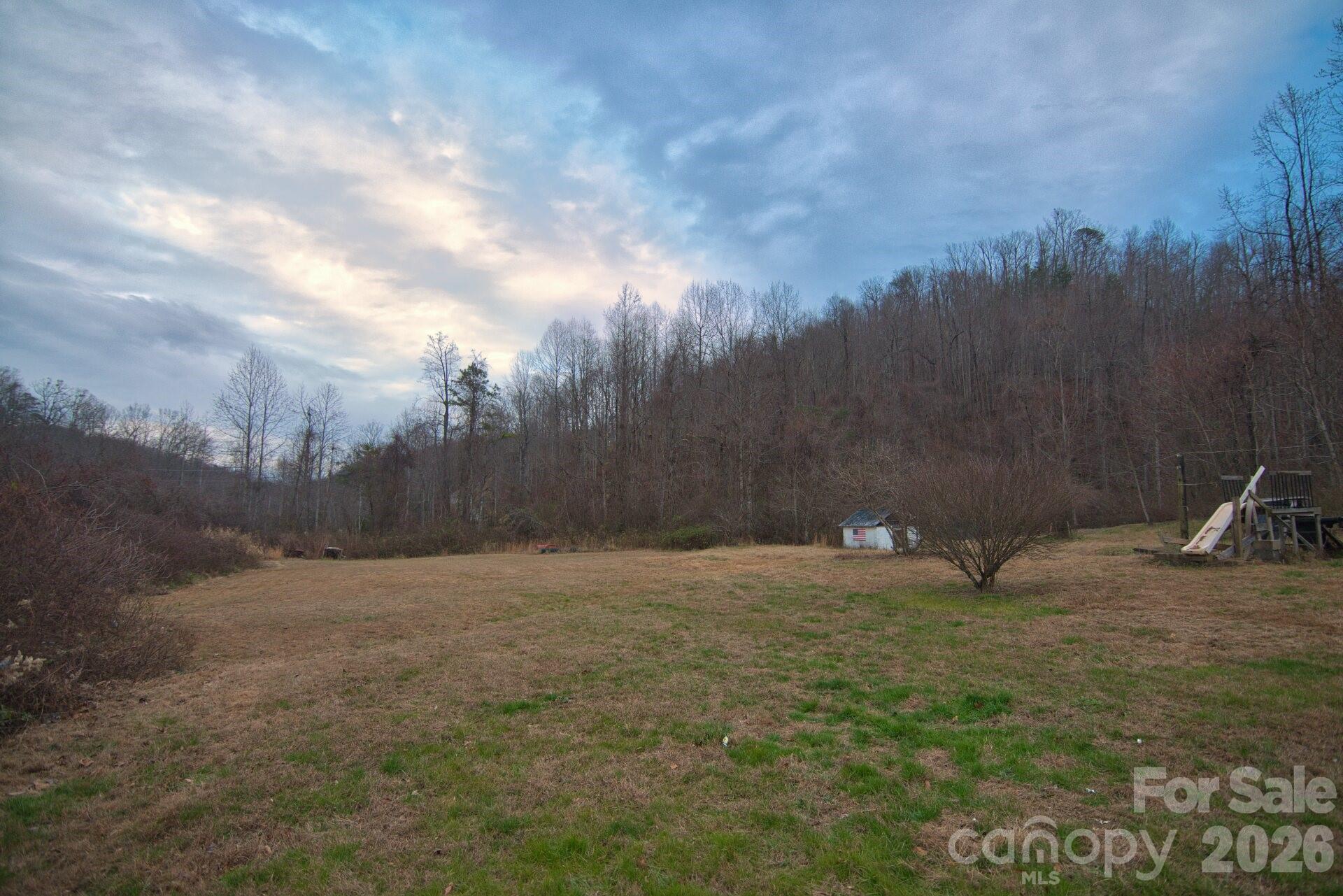 5712 Holbert Cove Road Saluda, NC 28773 - Photo 3 of 17 a view of a backyard