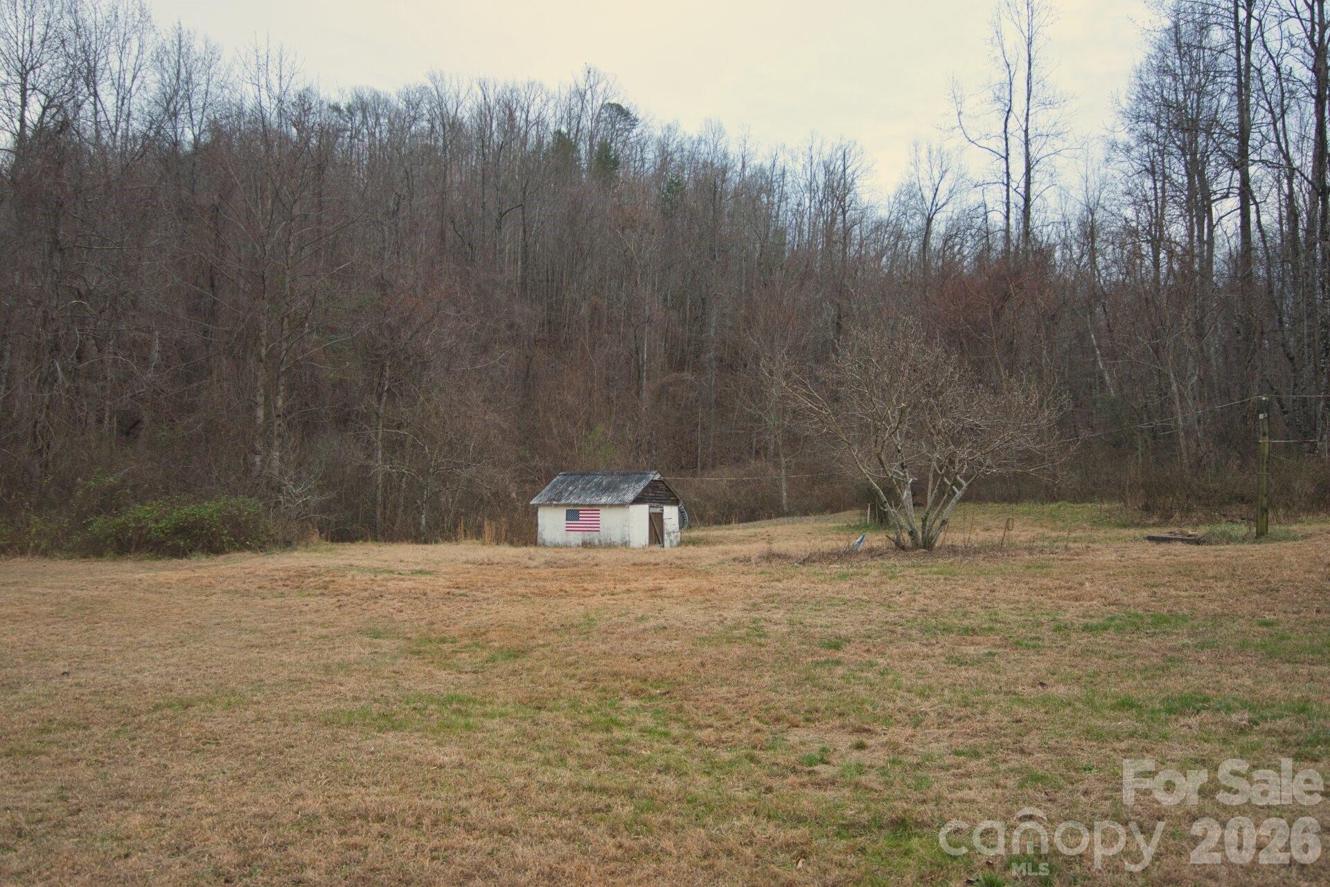 5712 Holbert Cove Road Saluda, NC 28773 - Photo 4 of 17 a view of a yard
