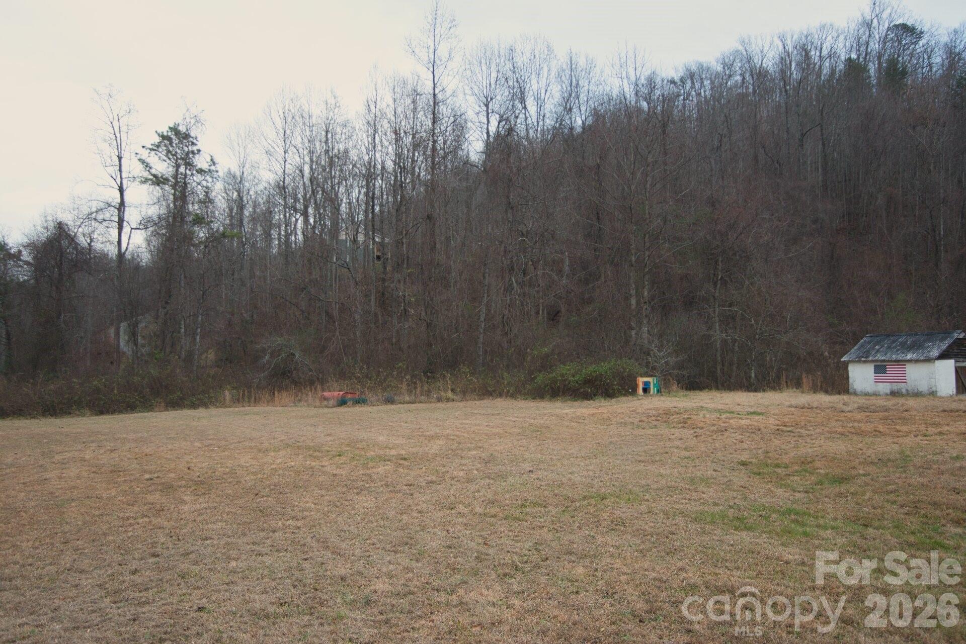 5712 Holbert Cove Road Saluda, NC 28773 - Photo 5 of 17 a view of empty room with trees