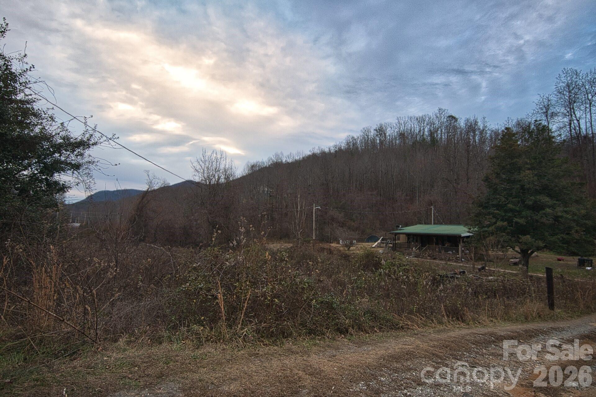 5712 Holbert Cove Road Saluda, NC 28773 - Photo 7 of 17 a view of a outdoor space