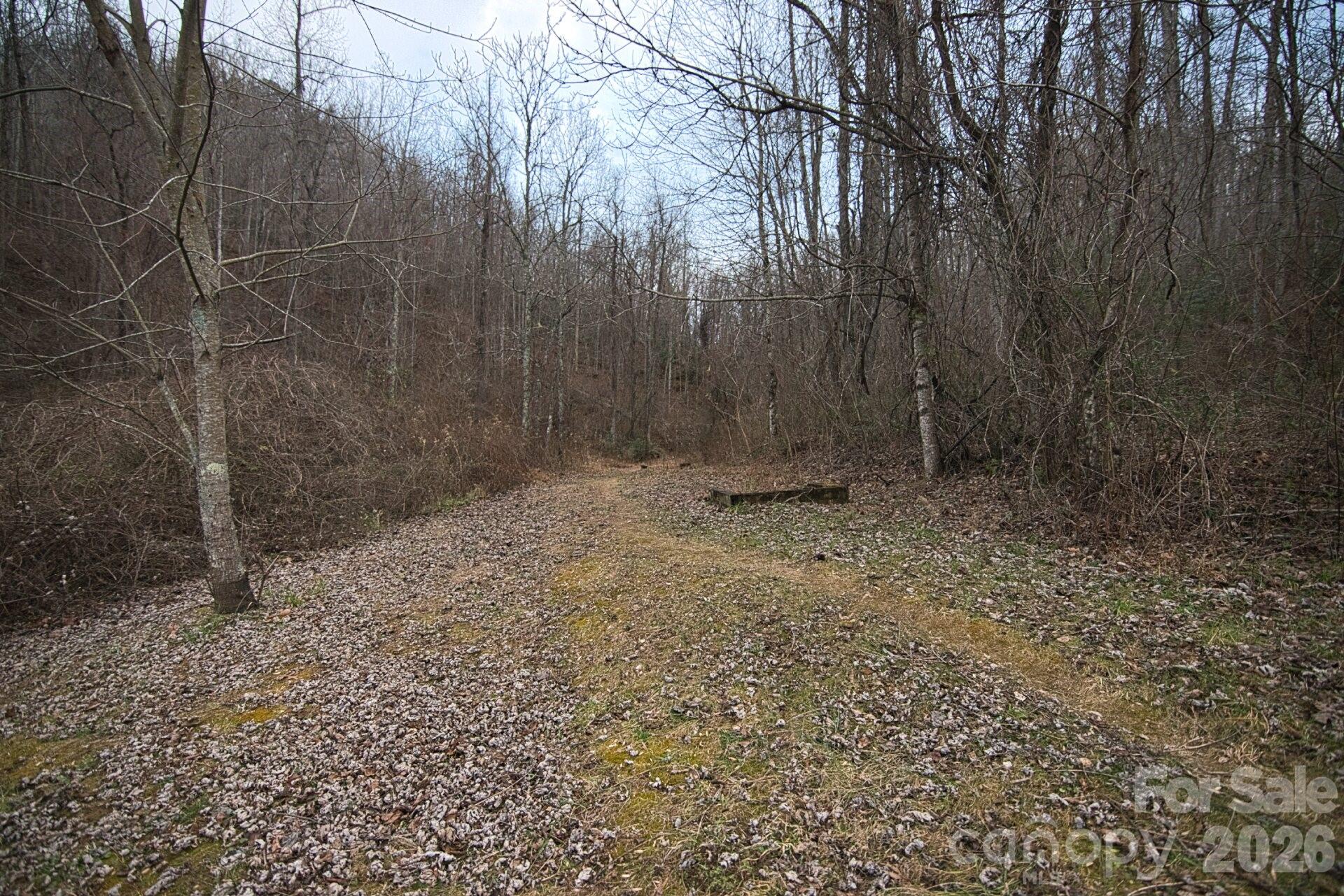 5712 Holbert Cove Road Saluda, NC 28773 - Photo 9 of 17 a view of room with trees