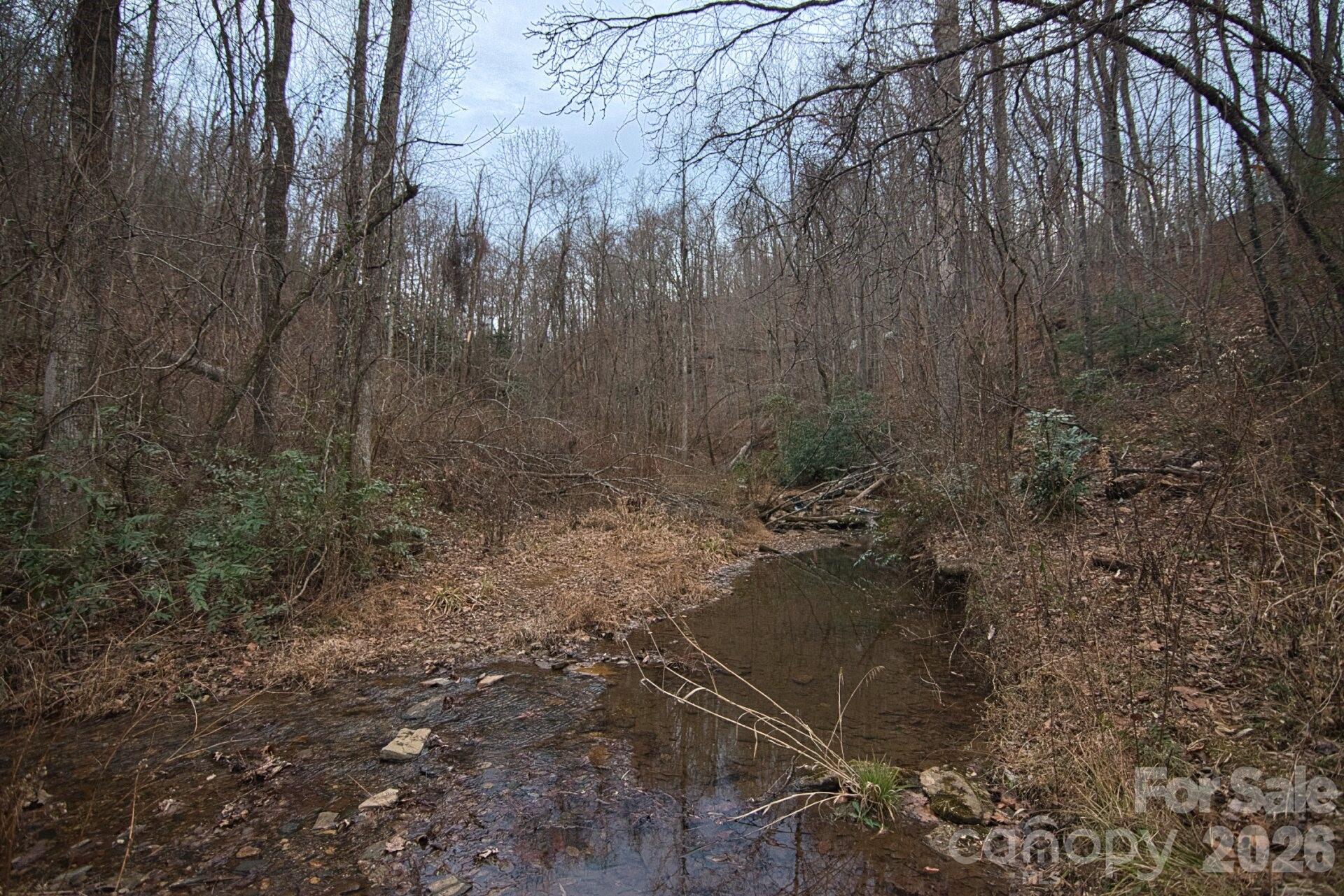5712 Holbert Cove Road Saluda, NC 28773 - Photo 10 of 17 a backyard of a house