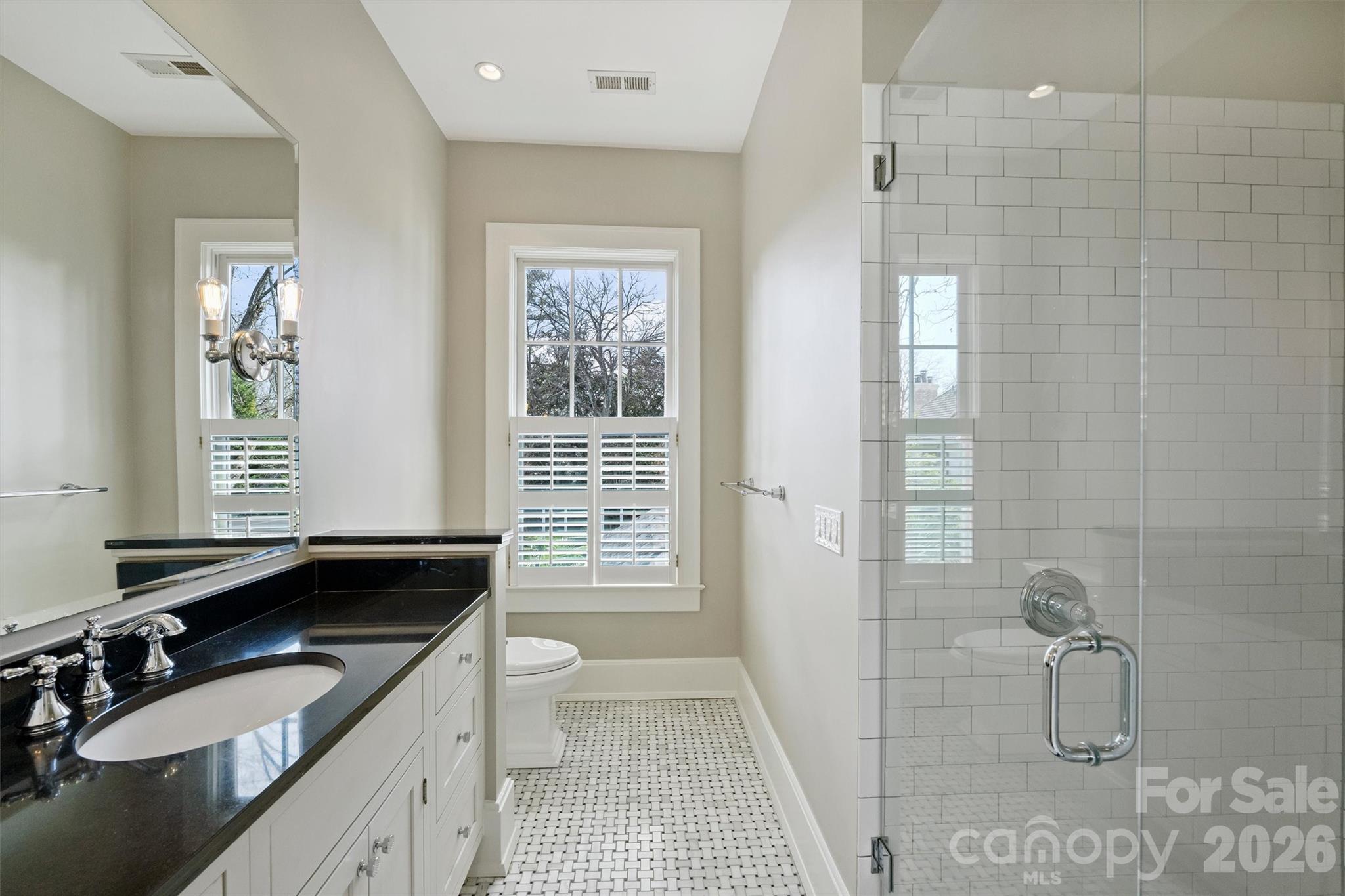 1136 Queens Road Charlotte, NC 28207 - Photo 25 of 43 a bathroom with a granite countertop sink a toilet a mirror and a shower