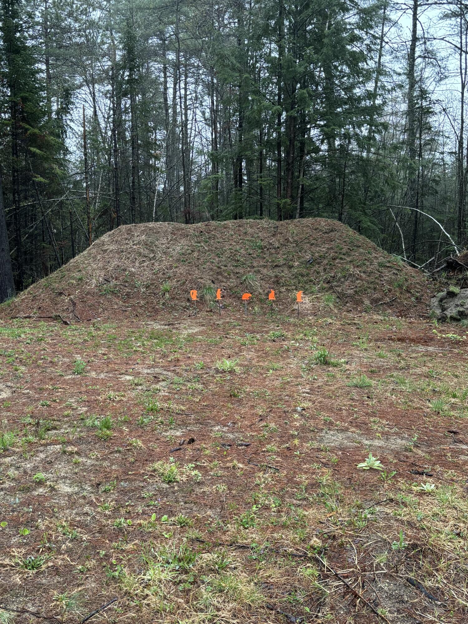 29 Farnsworth Road Brownfield, ME 04010 - Photo 32 of 33