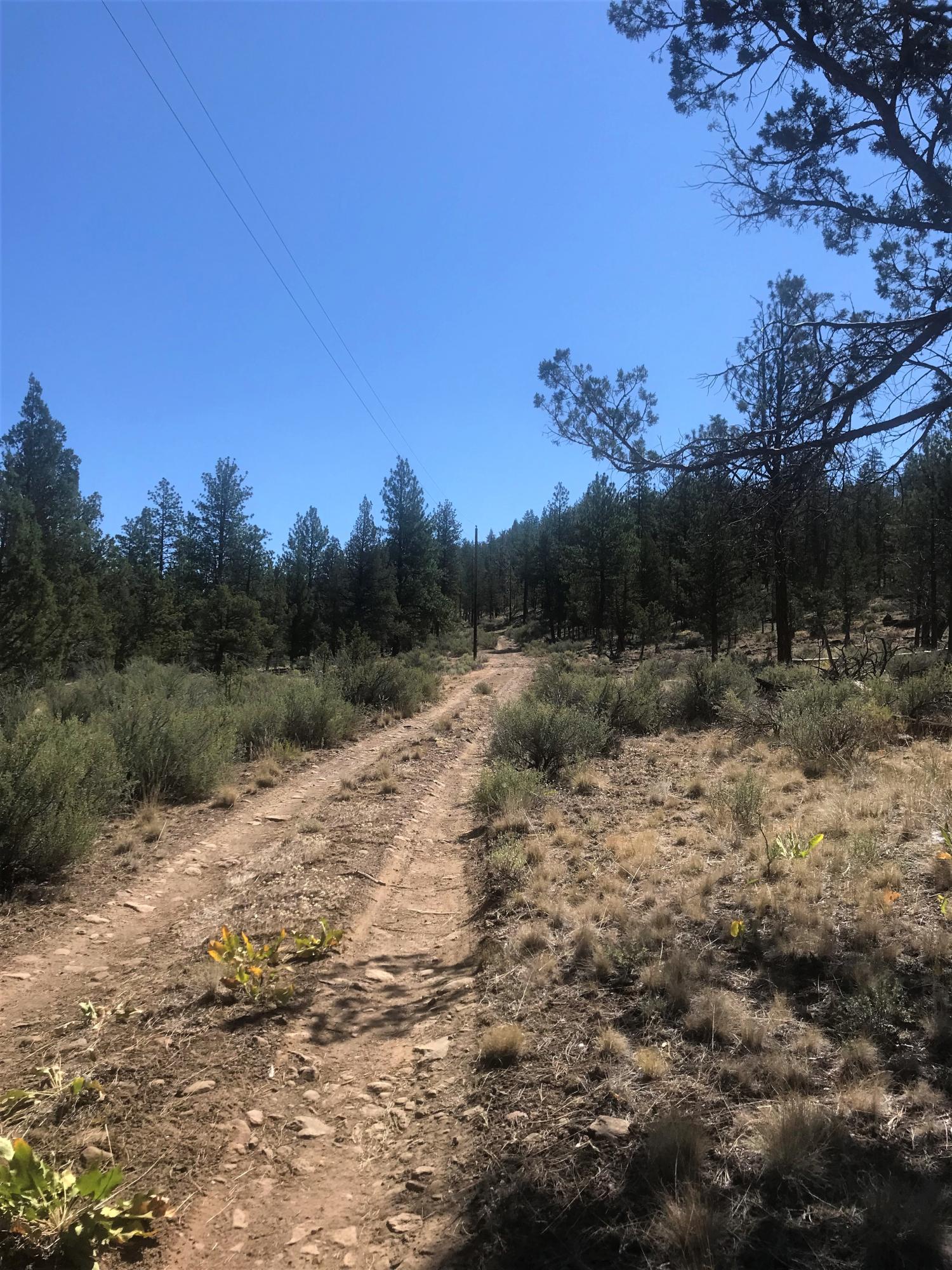 17665 Tinker Bell Road Sisters, OR 97759 - Photo 18 of 20 18