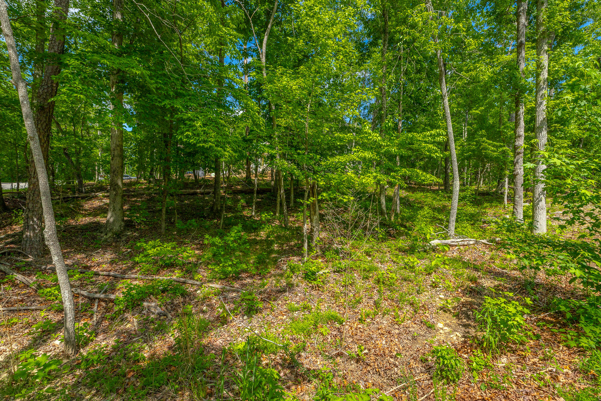 11564 Armstrong Road