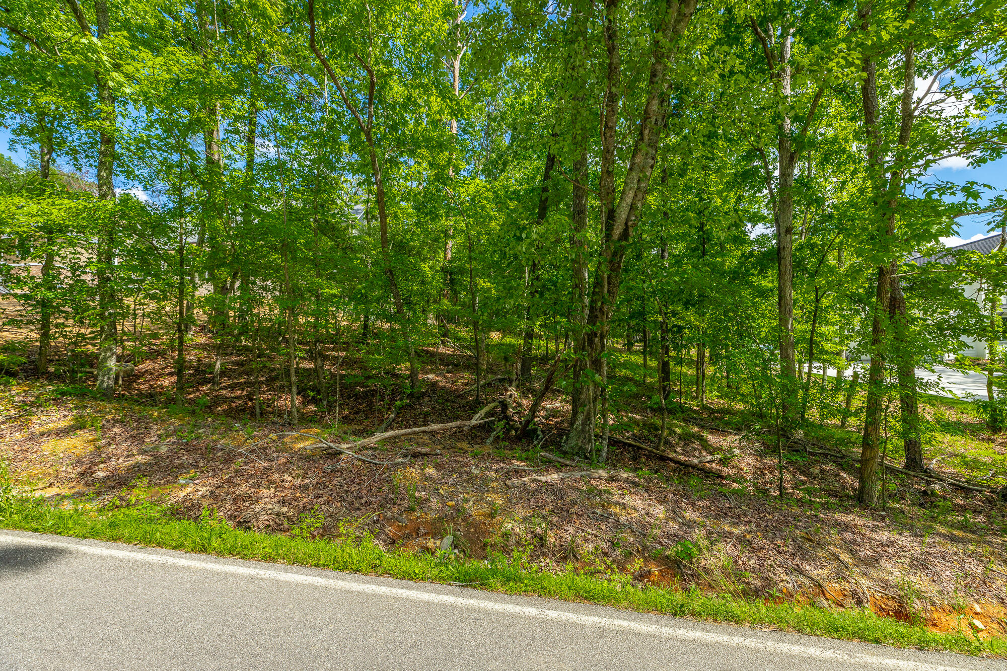11564 Armstrong Road Soddy Daisy, TN 37379 - Photo 13 of 17 11564 Armstrong Road