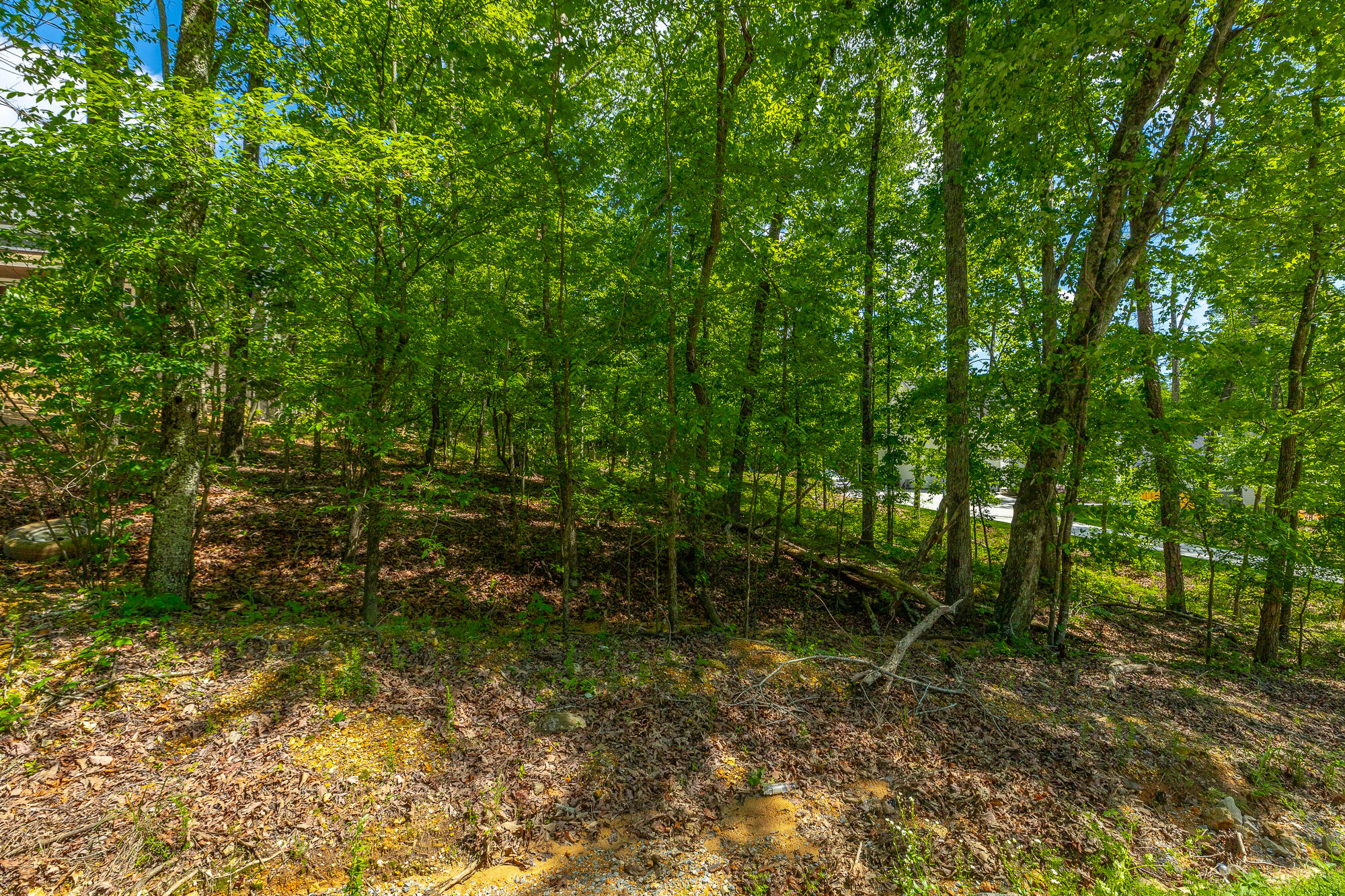 11564 Armstrong Road Soddy Daisy, TN 37379 - Photo 6 of 17 11564 Armstrong Road