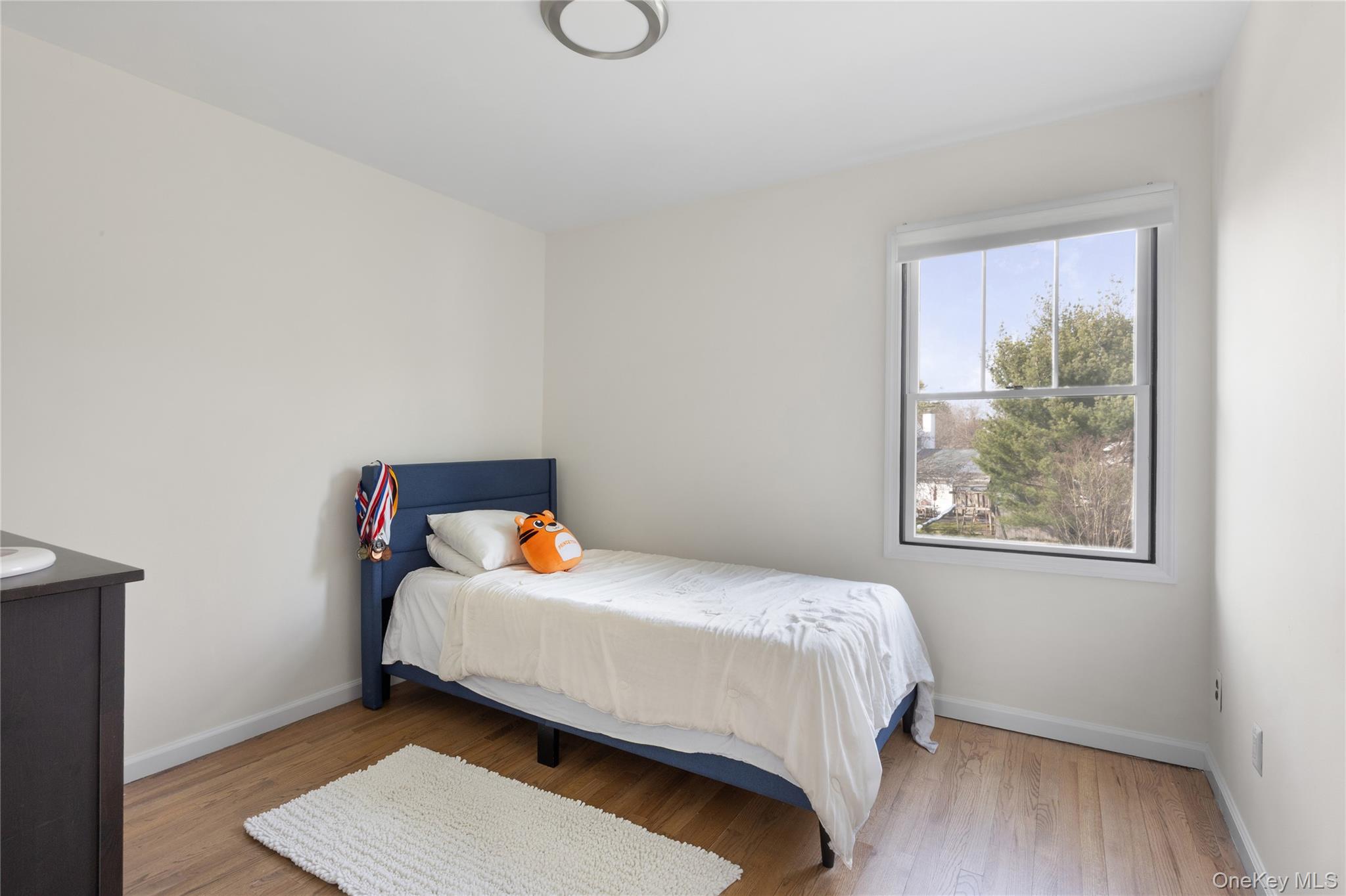 51 Convent Road Syosset, NY 11791 - Photo 29 of 36