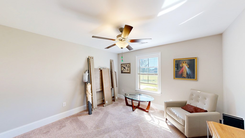 169 Sandbed Road Newton, AL 36352 - Photo 33 of 48 Gallery Image 33