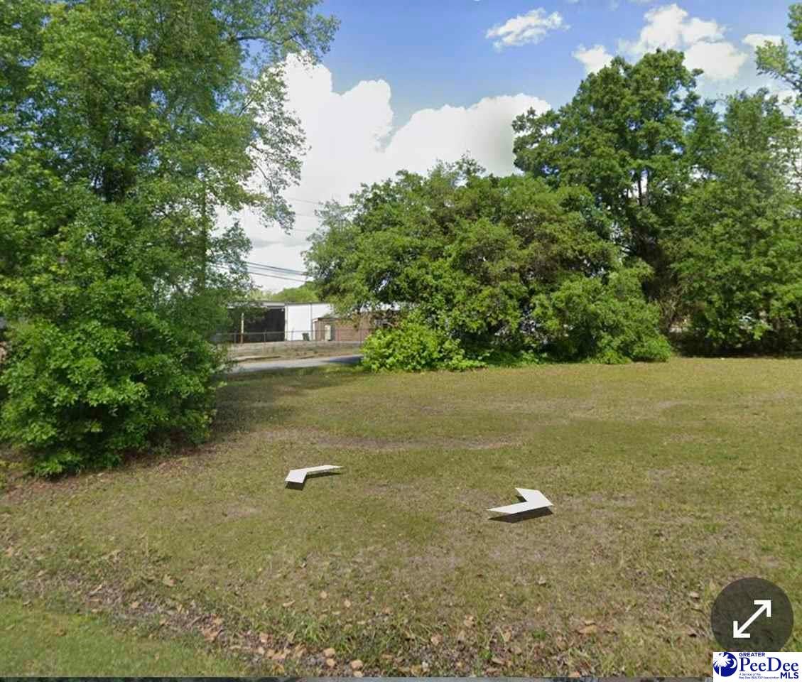 901 County Rd S-45-765 Kingstree, SC 29556 - Photo 1 of 1 Gallery Image 1