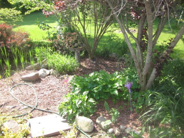 1220 East State Road Hastings, MI 49058 - Photo 14 of 15 013