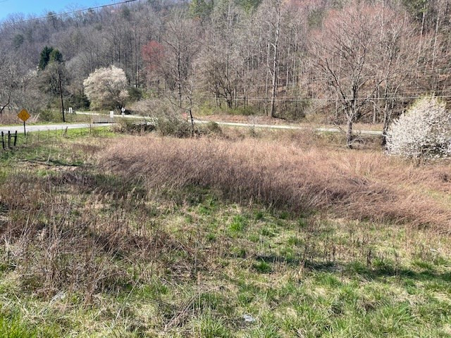 107 Minor Road Marble, NC 28905 - Photo 33 of 40