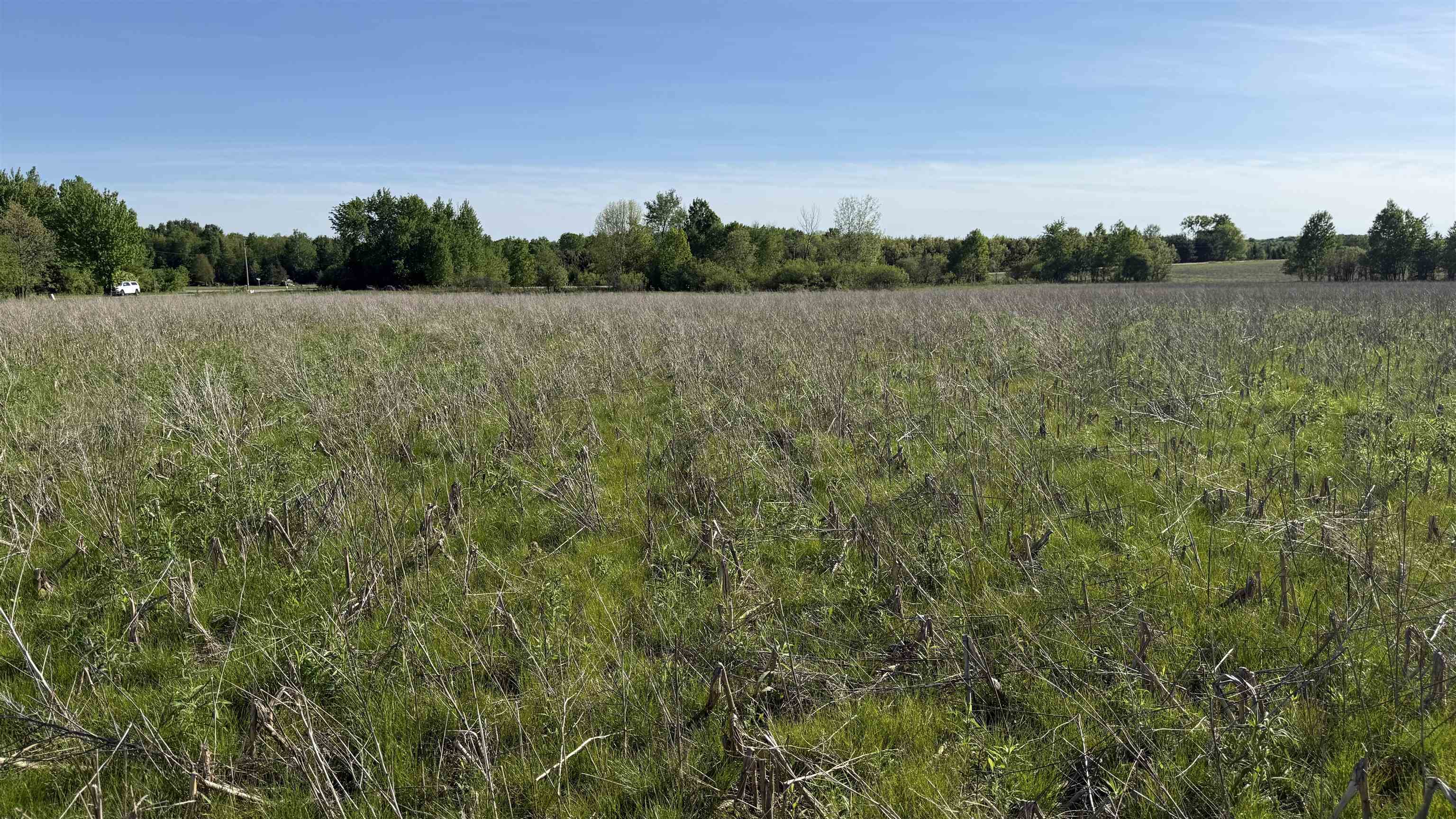 Lot 3 Eau Claire River Road Ringle, WI 54471 - Photo 5 of 28