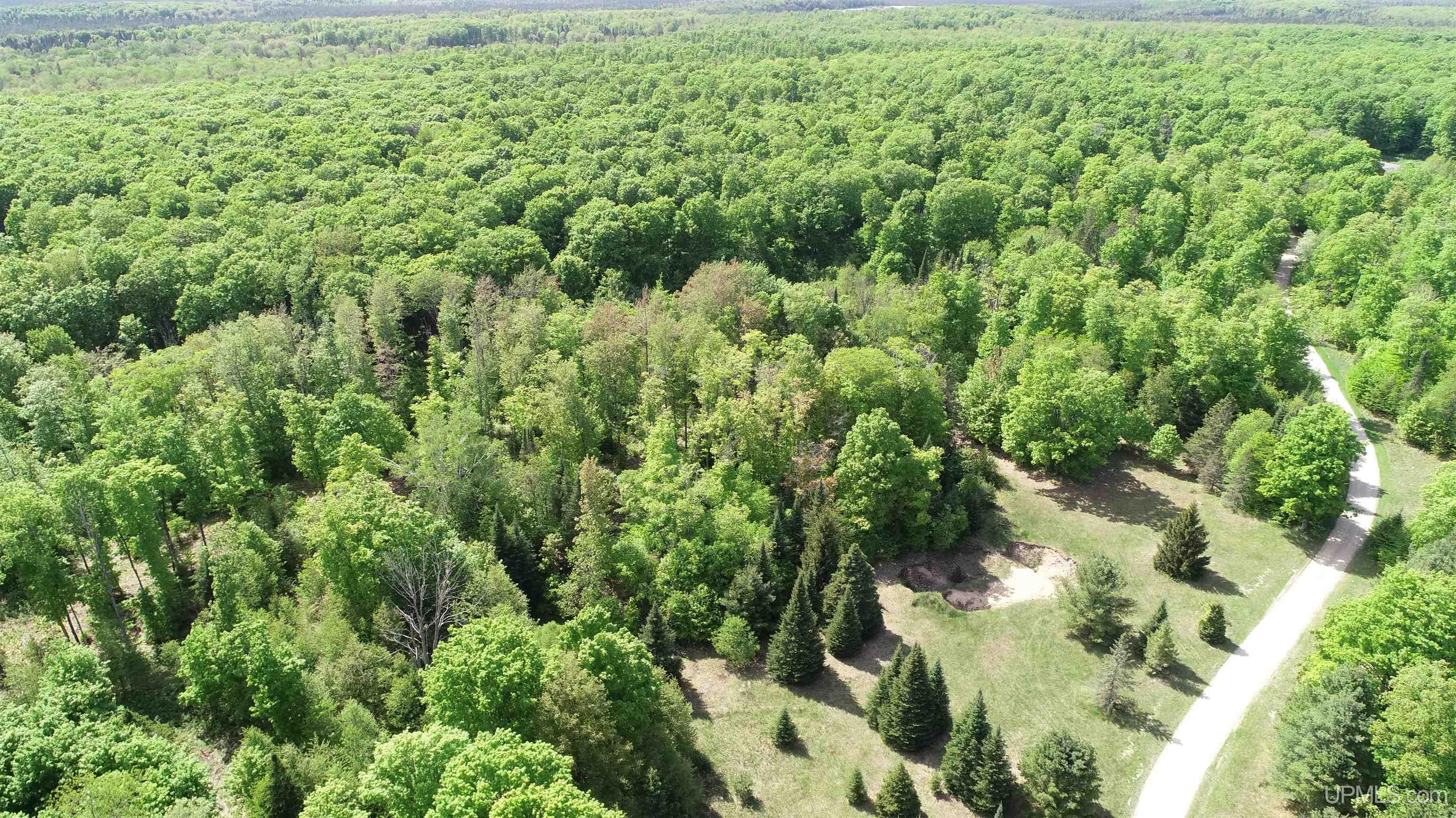 4855 N Camp 23 Road Germfask, MI 49836 - Photo 11 of 28