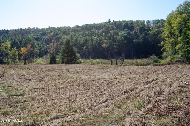 a view of a backyard of a house