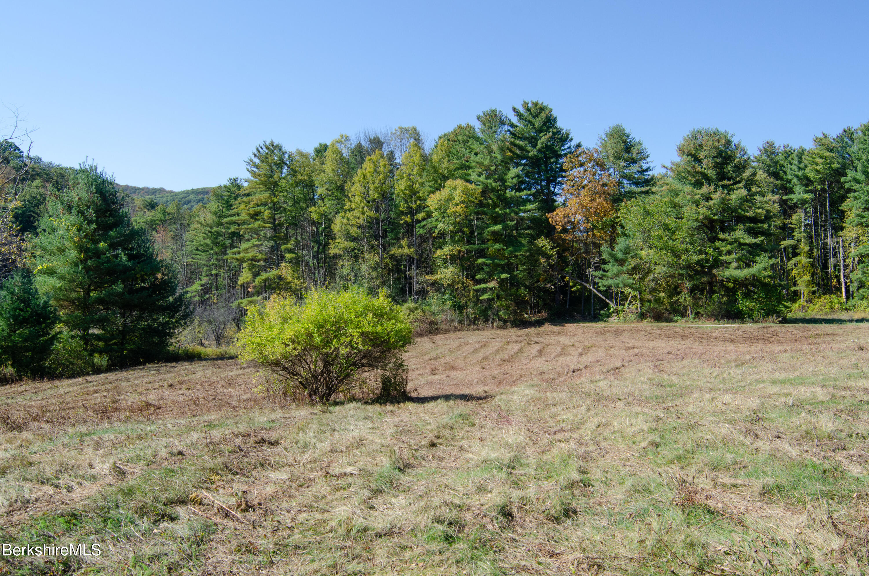 88 Great Barrington Road West Stockbridge, MA 01266 - Photo 4 of 10 a view of a plants with trees in the background