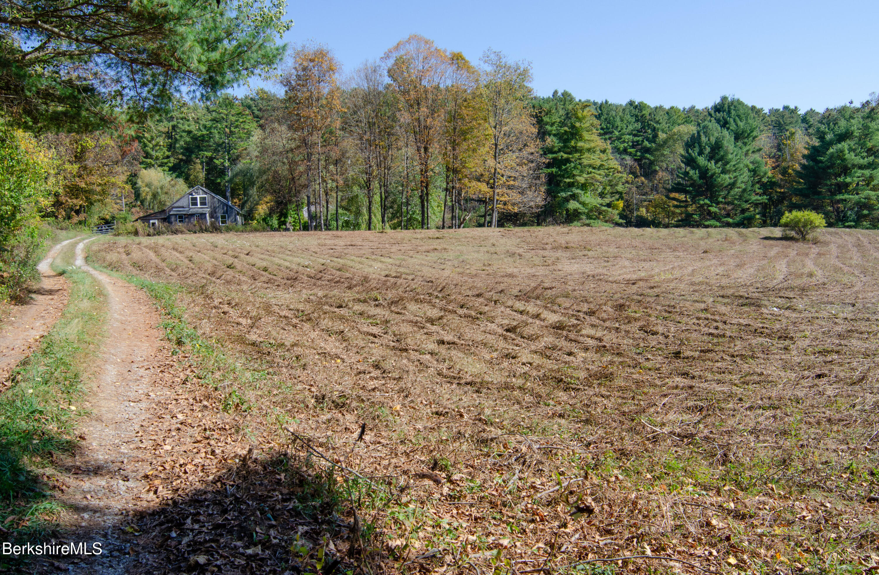 88 Great Barrington Road West Stockbridge, MA 01266 - Photo 5 of 10 a view of backyard with green space