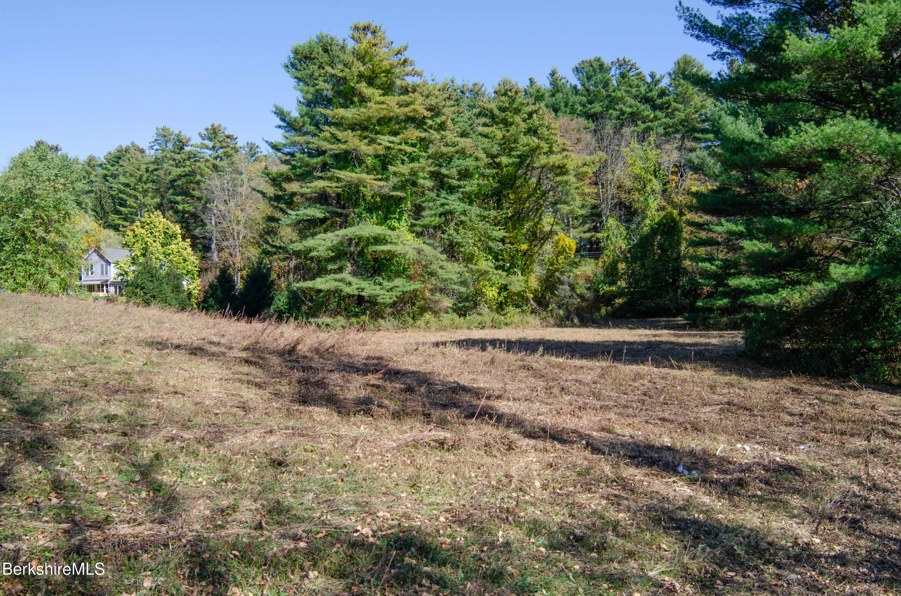 88 Great Barrington Road West Stockbridge, MA 01266 - Photo 6 of 10 a view of yard with green space