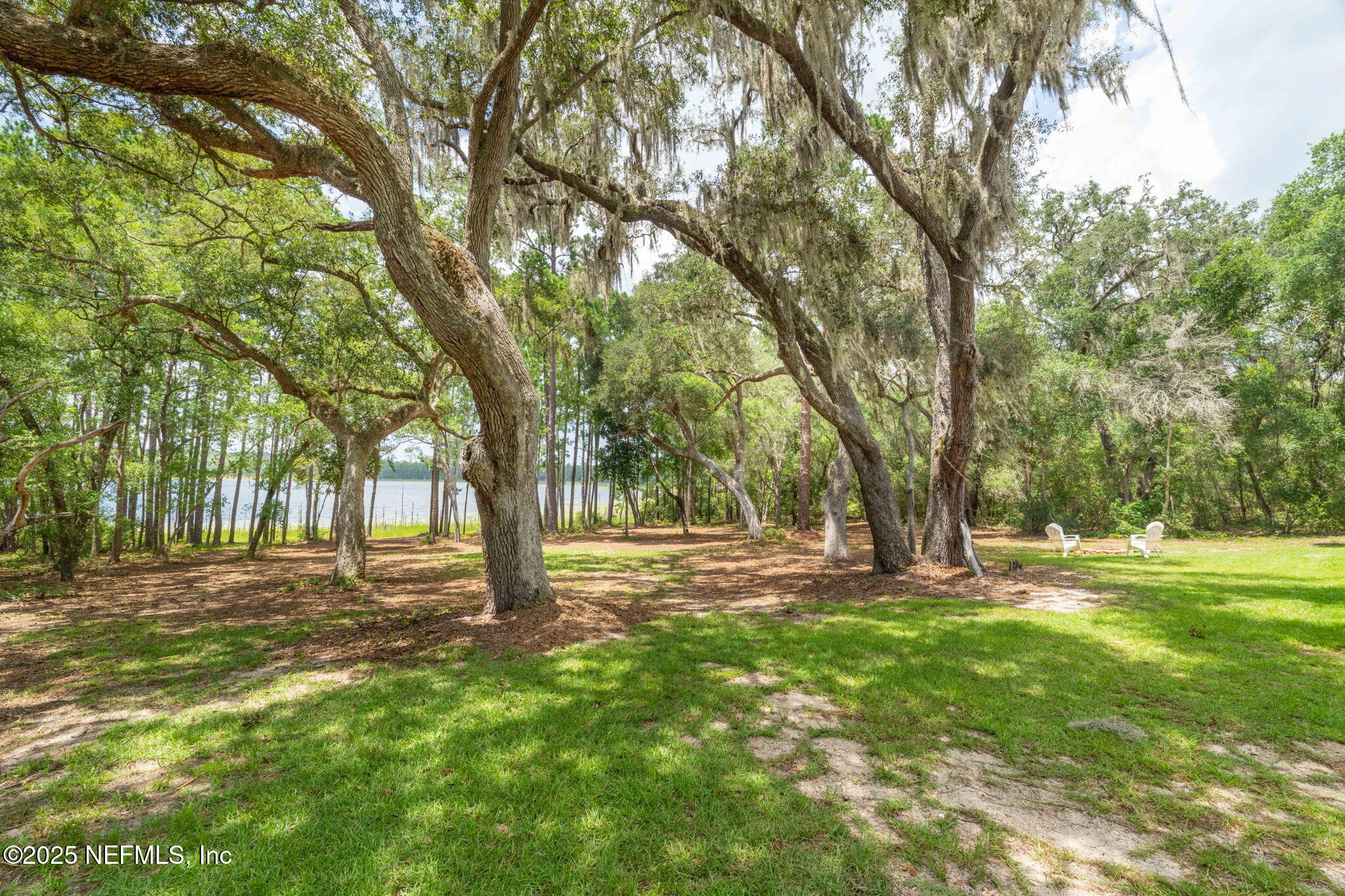 1540 Baden Powell Road Hawthorne, FL 32640 - Photo 35 of 48 Beautiful mature oak trees