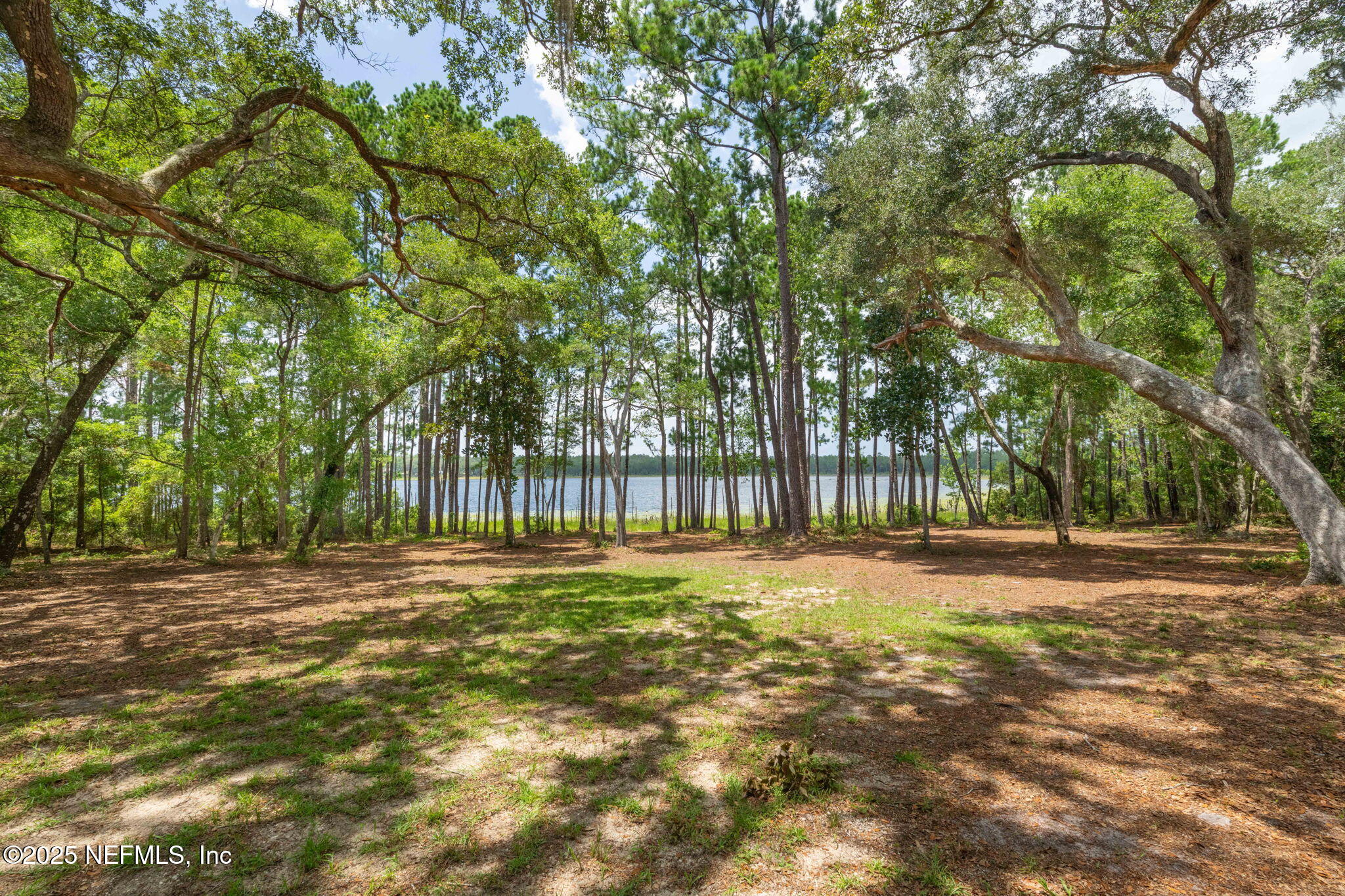 1540 Baden Powell Road Hawthorne, FL 32640 - Photo 36 of 48 View to the lake