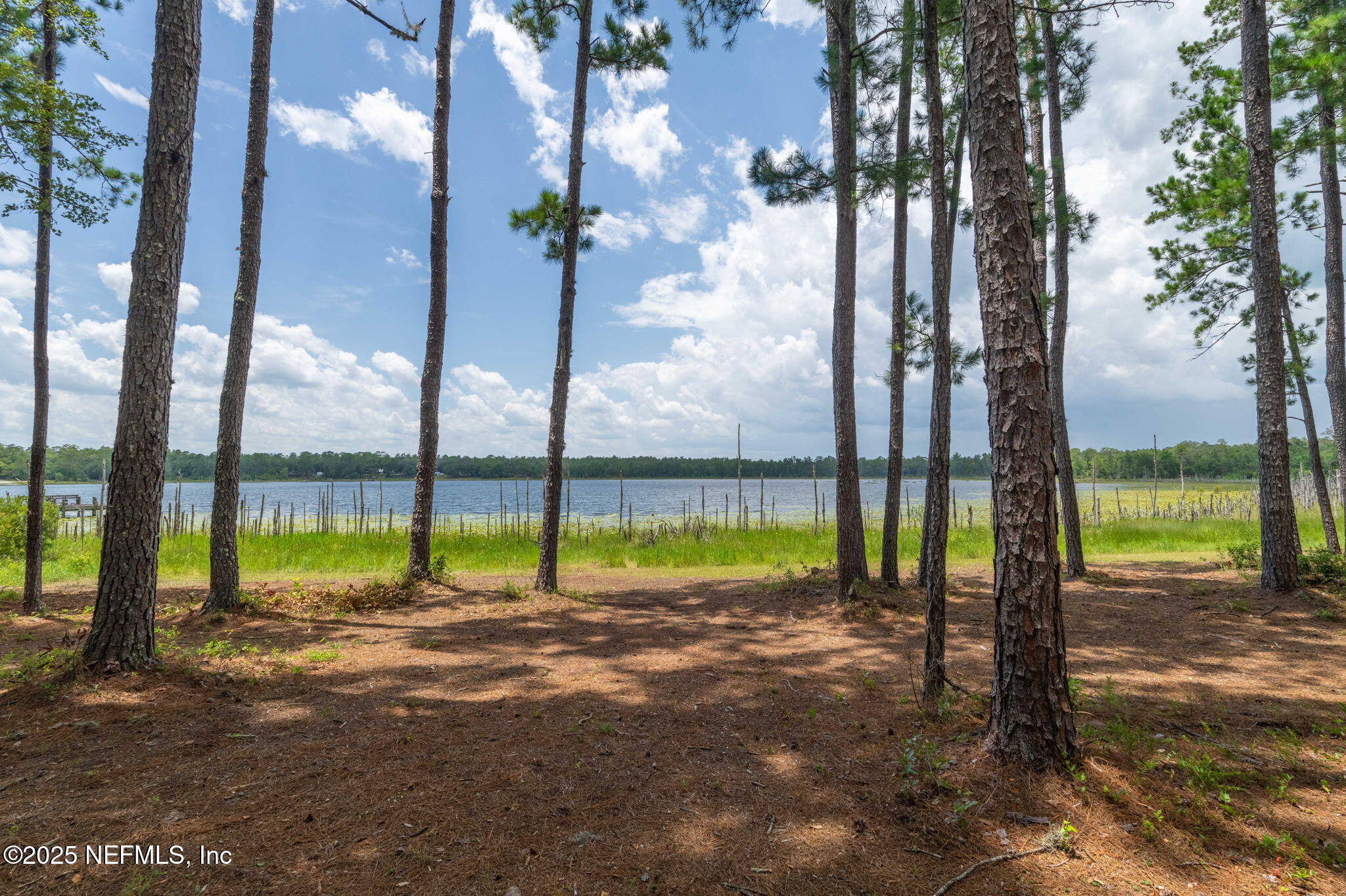 1540 Baden Powell Road Hawthorne, FL 32640 - Photo 37 of 48 ISO 1540 Baden Powell Rd Hawthorne FL 07