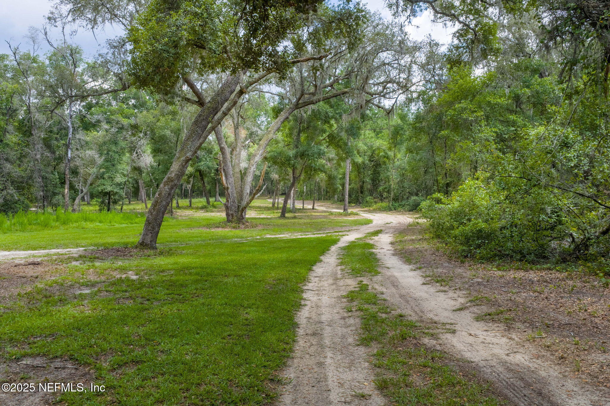 1540 Baden Powell Road Hawthorne, FL 32640 - Photo 41 of 48 ISO 1540 Baden Powell Rd Hawthorne FL 05