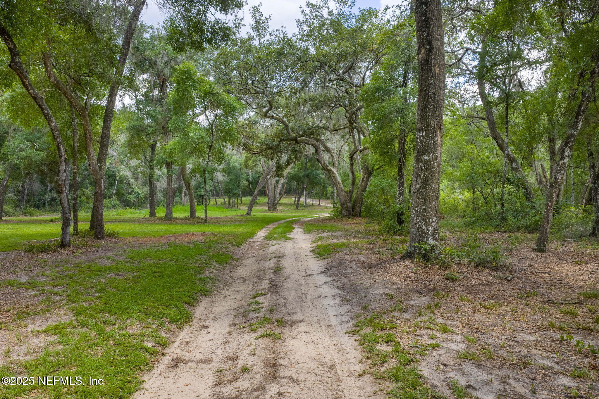 1540 Baden Powell Road Hawthorne, FL 32640 - Photo 42 of 48 ISO 1540 Baden Powell Rd Hawthorne FL 05