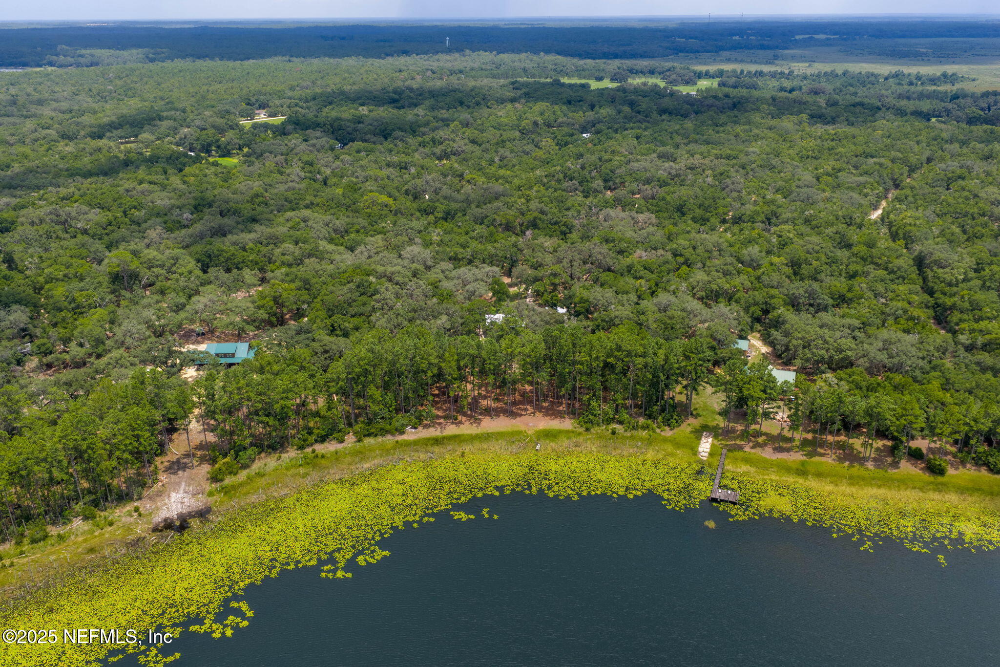 1540 Baden Powell Road Hawthorne, FL 32640 - Photo 46 of 48 ISO 1540 Baden Powell Rd Hawthorne FL 05