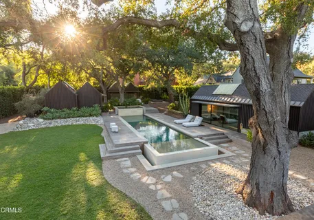 a view of a garden with a tree