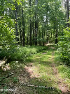 $795,000 | 0 Whites Hl Road, Great Barrington, MA 01230