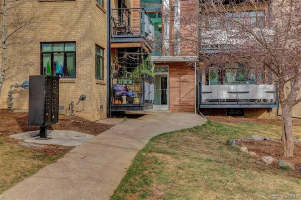 a street view with large trees