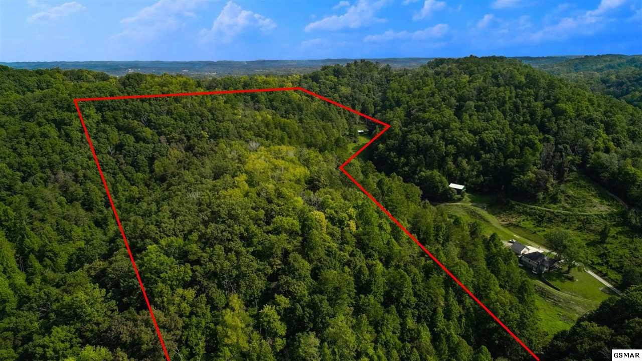 25 Lower Rinehart Road Dandridge, TN 37725 - Photo 5 of 27 Gallery Image 5