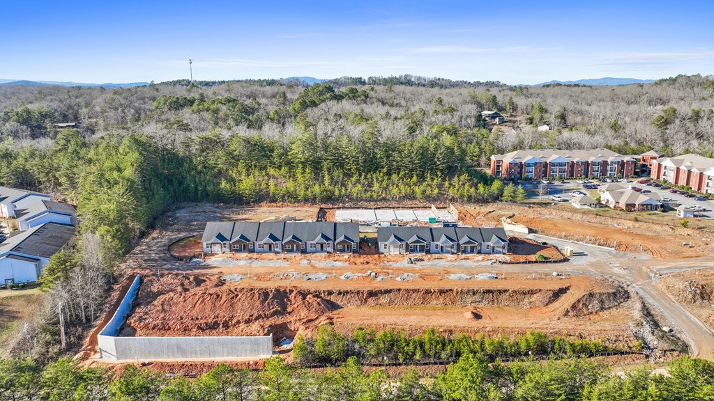 16 Grove Loop Blue Ridge, GA 30513 - Photo 3 of 12