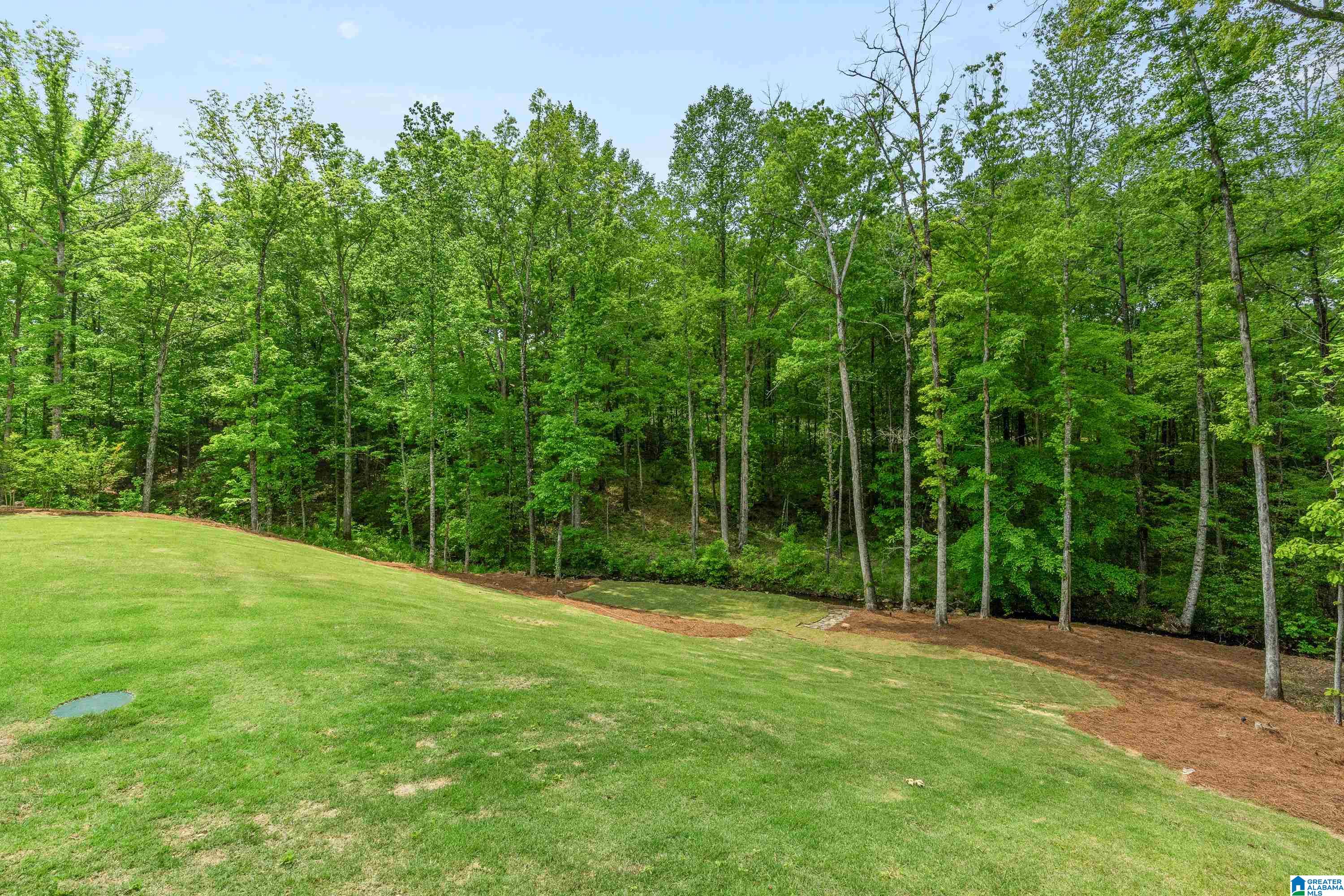 312 Timberview Trail Chelsea, AL 35043 - Photo 79 of 87