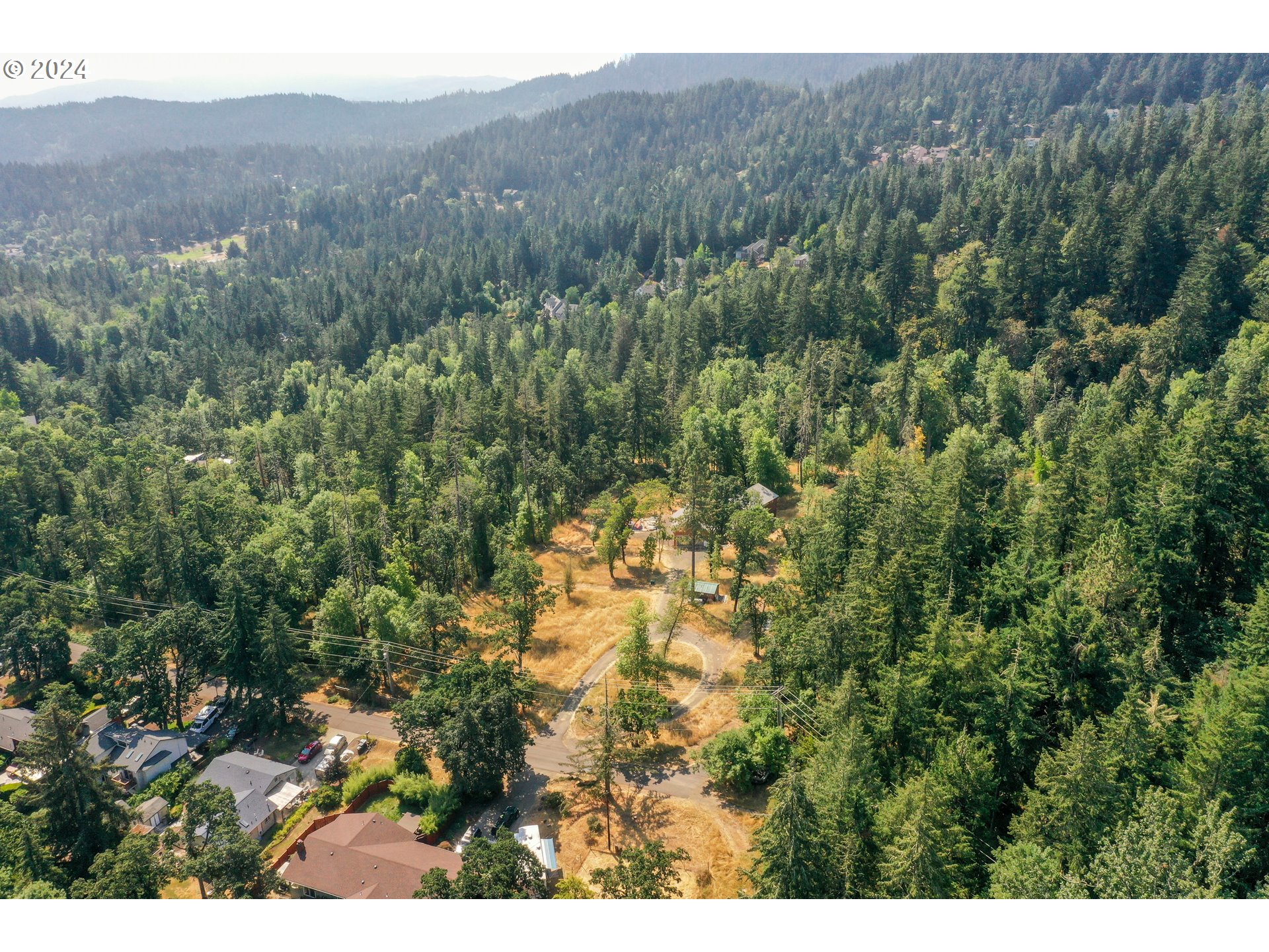 a view of a lush green forest with a house
