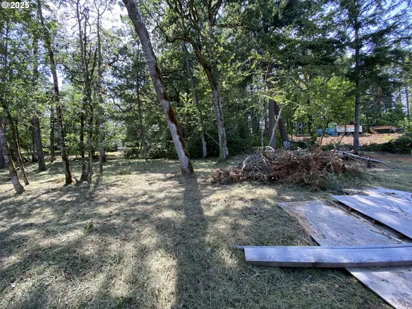 a view of outdoor space and yard
