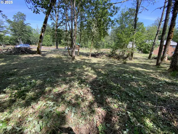 a view of outdoor space with trees