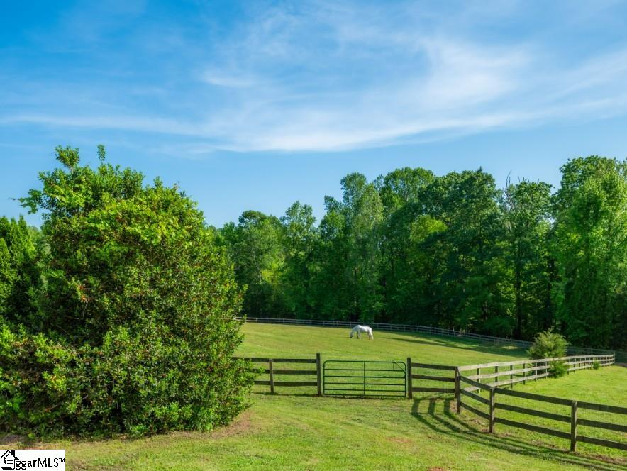 2921 North Pacolet Road Landrum, SC 29356 - Photo 12 of 50