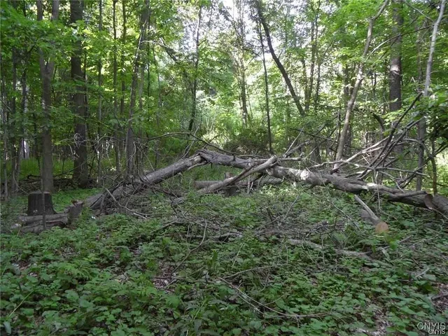 $395,000 | Henderson Street, Whitestown, NY 13492