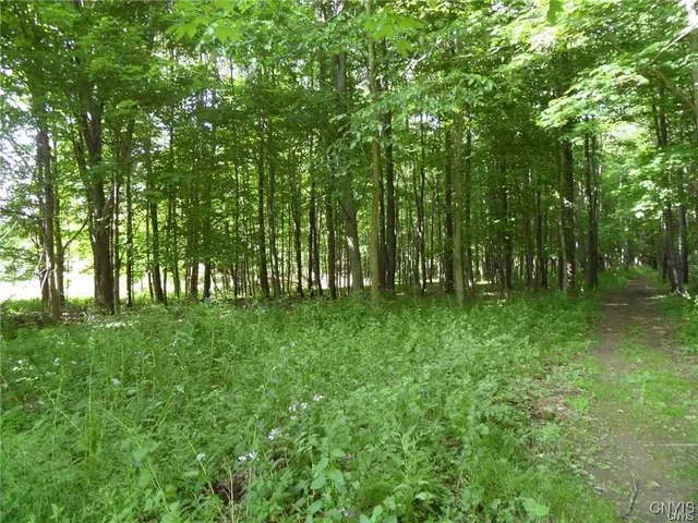 $395,000 | Henderson Street, Whitestown, NY 13492