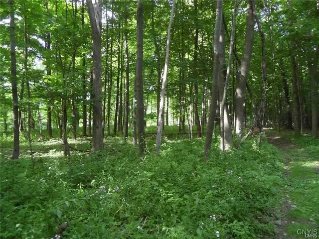 $395,000 | Henderson Street, Whitestown, NY 13492