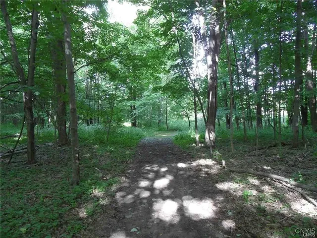 $395,000 | Henderson Street, Whitestown, NY 13492