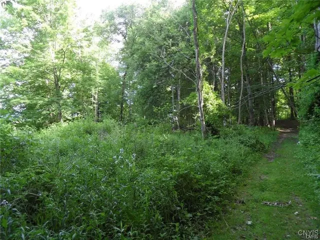 $395,000 | Henderson Street, Whitestown, NY 13492