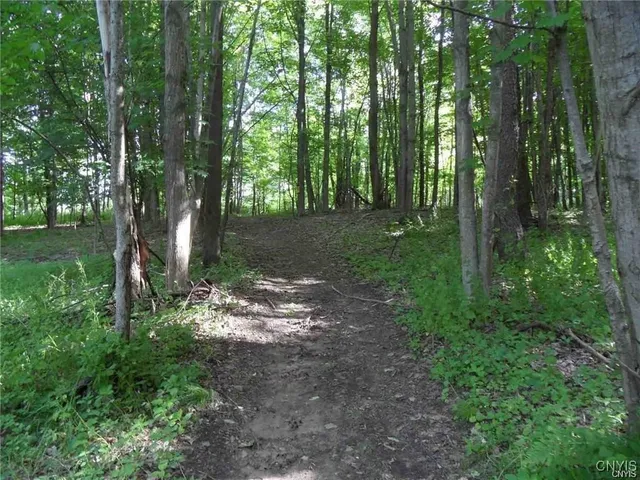 $395,000 | Henderson Street, Whitestown, NY 13492