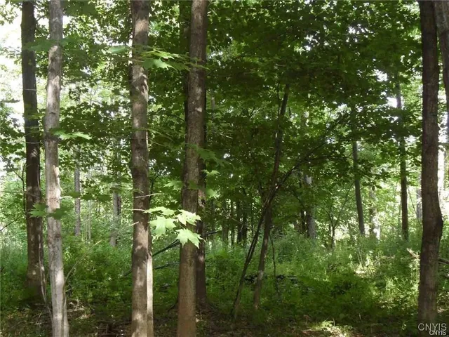 $395,000 | Henderson Street, Whitestown, NY 13492