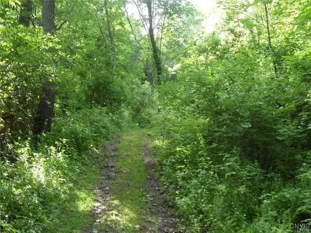 $395,000 | Henderson Street, Whitestown, NY 13492