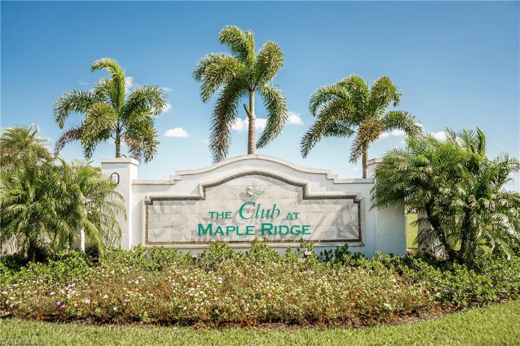 5542 Useppa Drive Ave Maria, FL 34142 - Photo 10 of 15 a view of a palm plant in front of a house