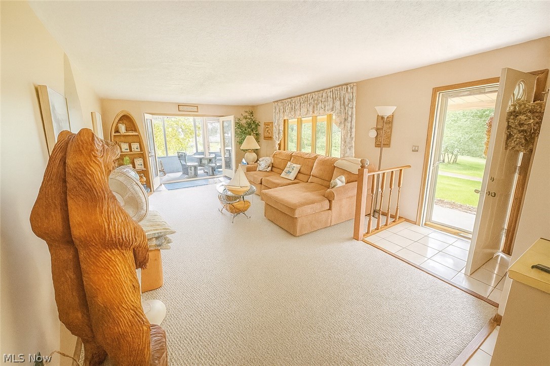 53310 Mud Run Road Senecaville, OH 43780 - Photo 4 of 28 Living area with light carpet and a textured ceiling