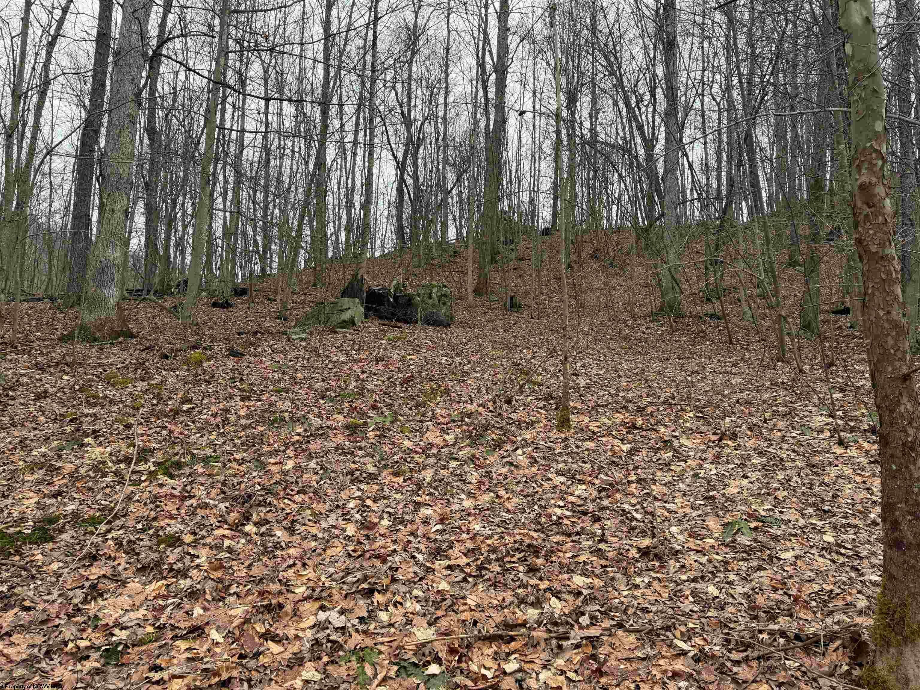 Tbd Carrolton Road Buckhannon, WV 26201 - Photo 11 of 37 Gallery Image 11